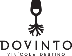 Dovinto